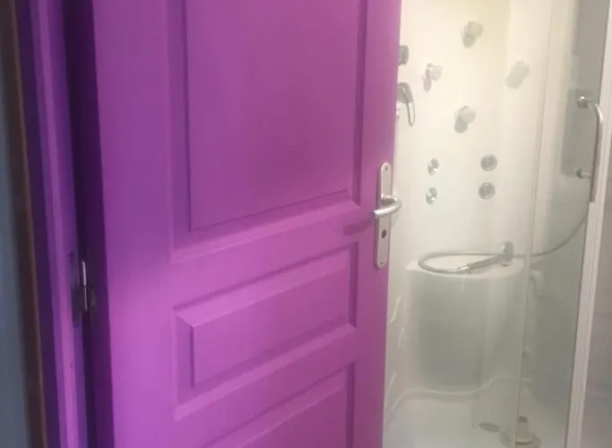 Vernon-giverny Claude Monet Nympheas *